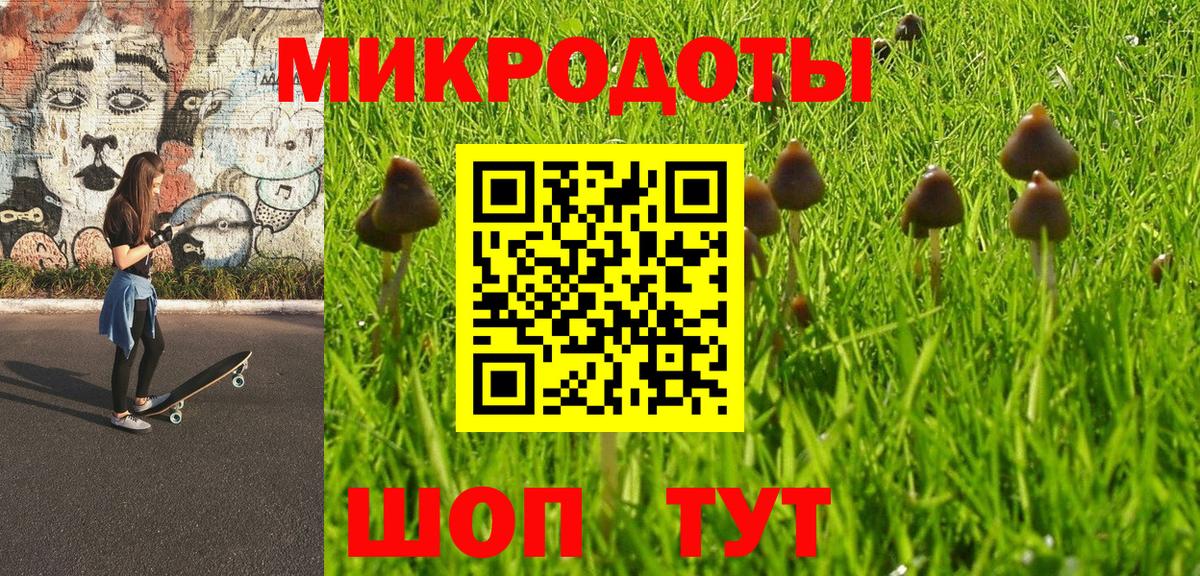 Галлюциногенные грибы MAGIC MUSHROOMS  Вход с VPN  Петропавловск-Камчатский 
