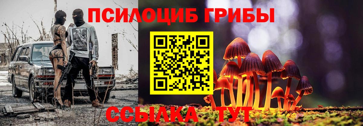 Псилоцибиновые грибы мицелий Петропавловск-Камчатский